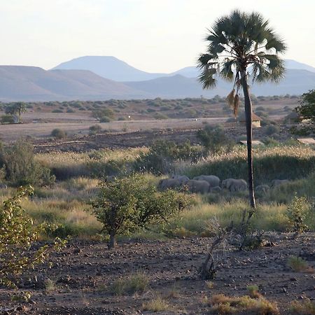 Palmwag Campsite Экстерьер фото