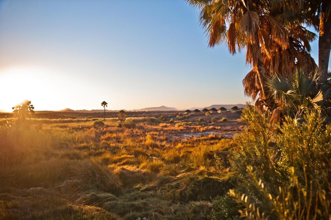 Palmwag Campsite Экстерьер фото